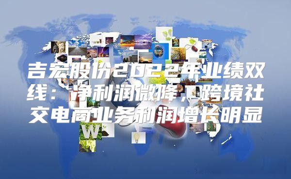 吉宏股份2022年业绩双线：净利润微降，跨境社交电商业务利润增长明显
