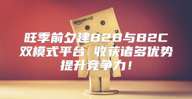 旺季前夕建B2B与B2C双模式平台 收获诸多优势提升竞争力！
