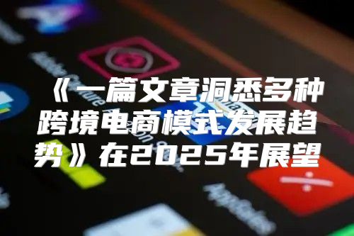 一篇文章洞悉多种跨境电商模式发展趋势在2025年展望