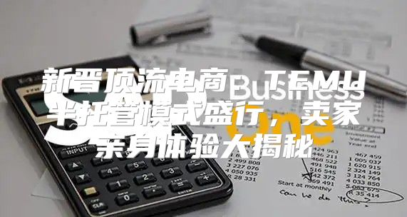 新晋顶流电商：TEMU半托管模式盛行，卖家亲身体验大揭秘