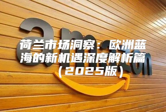 荷兰市场洞察：欧洲蓝海的新机遇深度解析篇2025版