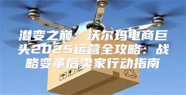 潜变之巅：沃尔玛电商巨头2025运营全攻略：战略变革后卖家行动指南