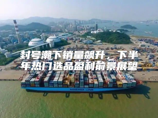 封号潮下销量飙升，下半年热门选品盈利前景展望