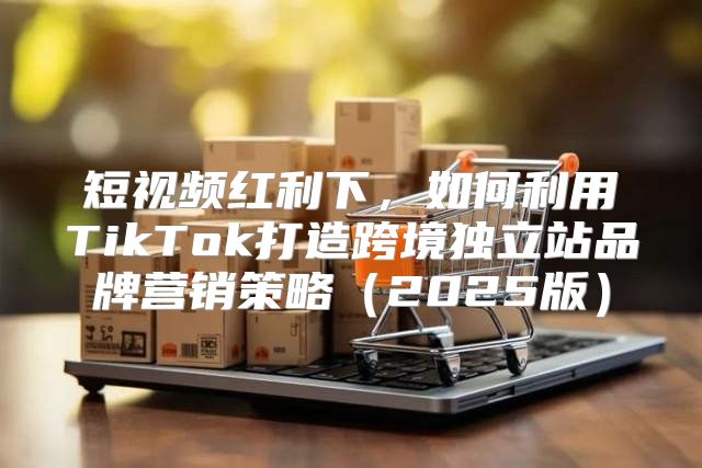 短视频红利下，如何利用TikTok打造跨境独立站品牌营销策略2025版