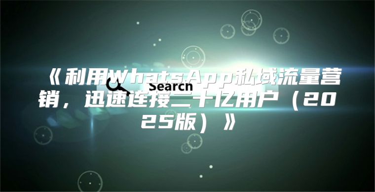 利用WhatsApp私域流量营销，迅速连接二十亿用户2025版