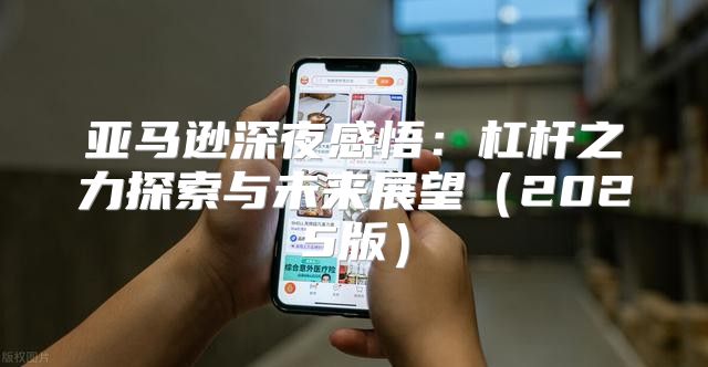 亚马逊深夜感悟：杠杆之力探索与未来展望2025版