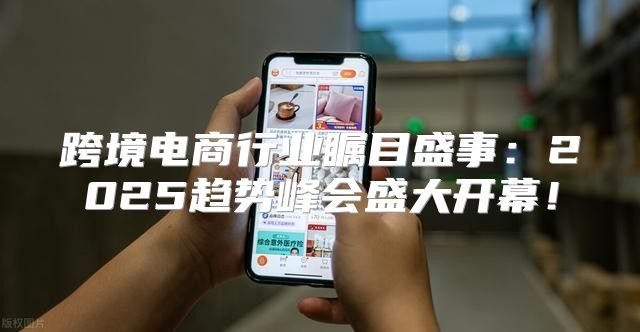 跨境电商行业瞩目盛事：2025趋势峰会盛大开幕！