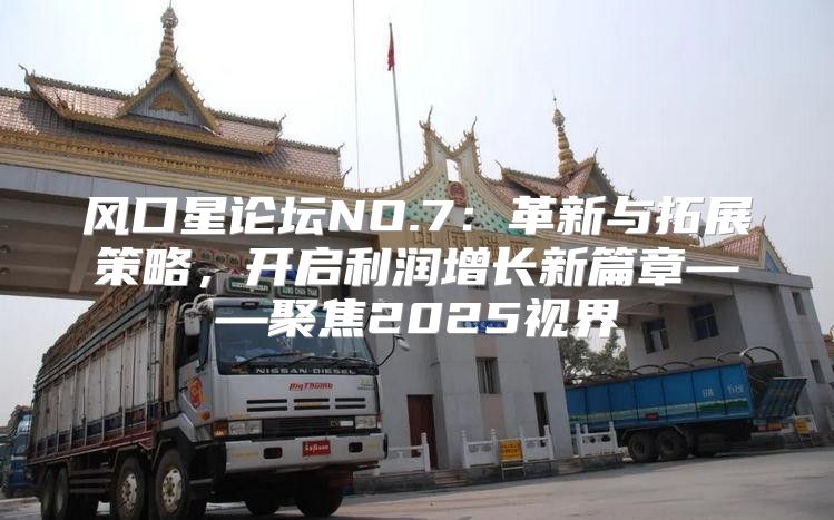 风口星论坛NO.7：革新与拓展策略，开启利润增长新篇章——聚焦2025视界