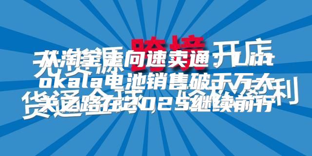 从淘宝走向速卖通：Liitokala电池销售破千万大关之路在2025继续前行