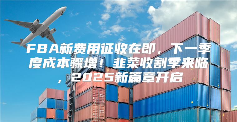 FBA新费用征收在即，下一季度成本骤增！韭菜收割季来临，2025新篇章开启