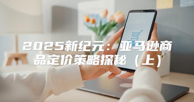2025新纪元：亚马逊商品定价策略探秘上