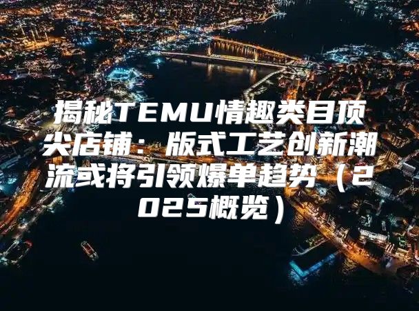 揭秘TEMU情趣类目顶尖店铺：版式工艺创新潮流或将引领爆单趋势2025概览