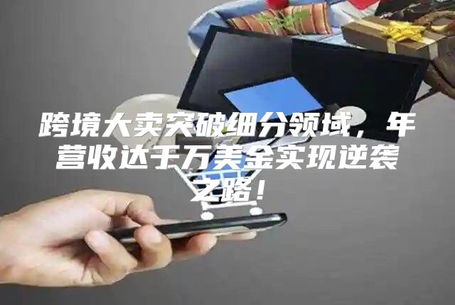 跨境大卖突破细分领域，年营收达千万美金实现逆袭之路！