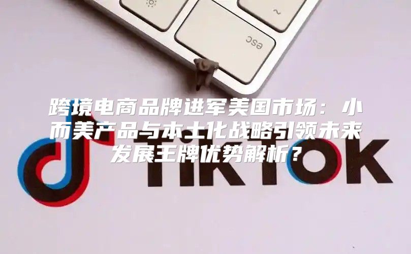 跨境电商品牌进军美国市场：小而美产品与本土化战略引领未来发展王牌优势解析？