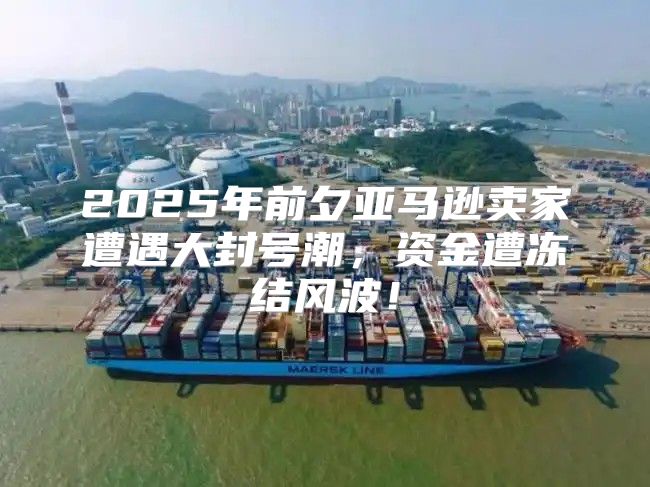 2025年前夕亚马逊卖家遭遇大封号潮，资金遭冻结风波！