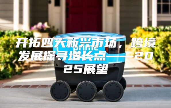 开拓四大新兴市场，跨境发展探寻增长点——2025展望