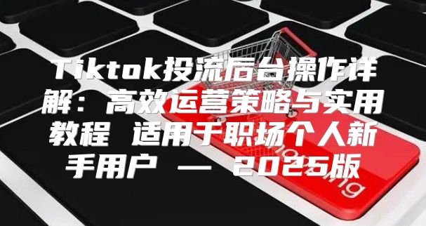 Tiktok投流后台操作详解：高效运营策略与实用教程 适用于职场个人新手用户 — 2025版