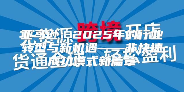 亚马逊：2025年的行业转型与新机遇——非快速成功模式新篇章