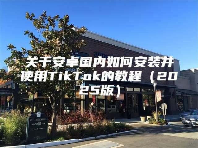 关于安卓国内如何安装并使用TikTok的教程2025版