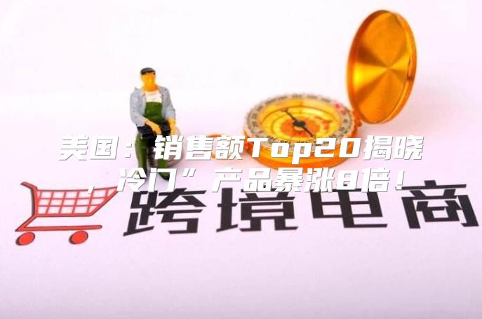美国：销售额Top20揭晓，冷门”产品暴涨8倍！