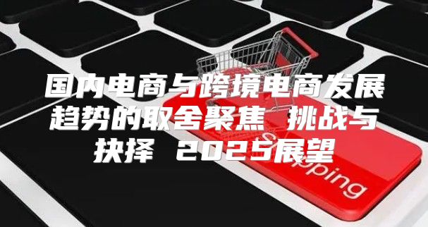 国内电商与跨境电商发展趋势的取舍聚焦 挑战与抉择 2025展望