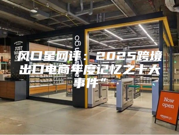 风口星网评：2025跨境出口电商年度记忆之十大事件”