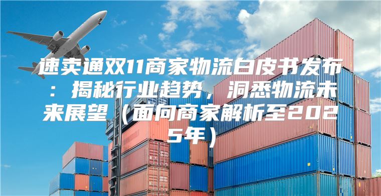 速卖通双11商家物流白皮书发布：揭秘行业趋势，洞悉物流未来展望面向商家解析至2025年