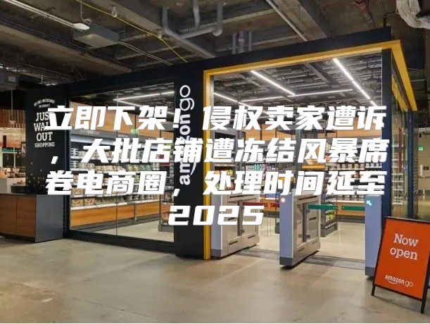 立即下架！侵权卖家遭诉，大批店铺遭冻结风暴席卷电商圈，处理时间延至2025