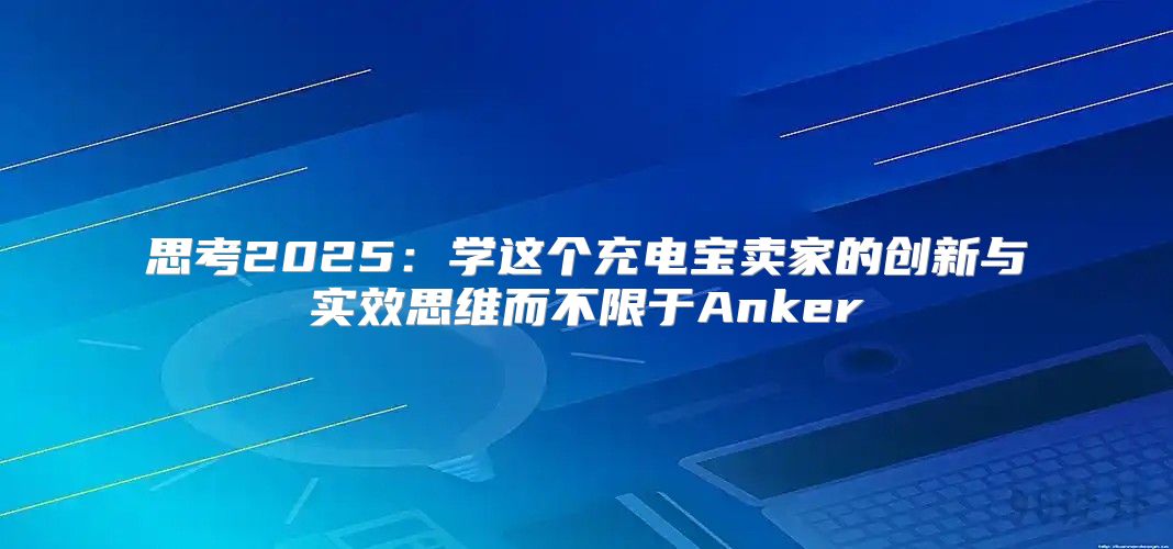 思考2025学这个充电宝卖家的创新与实效思维而不限于Anker