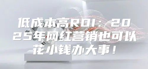 低成本高ROI：2025年网红营销也可以花小钱办大事！