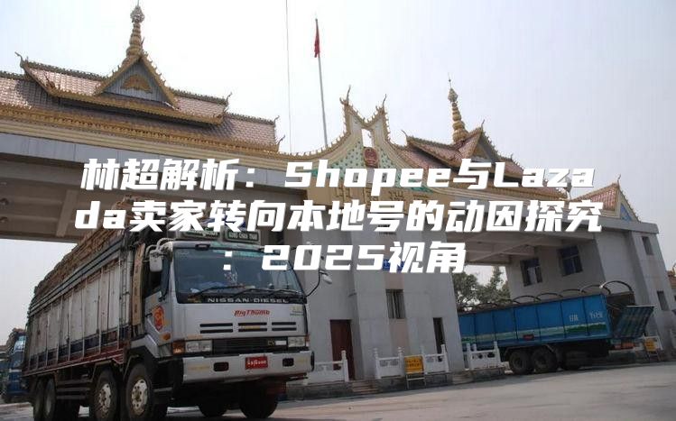 林超解析：Shopee与Lazada卖家转向本地号的动因探究：2025视角