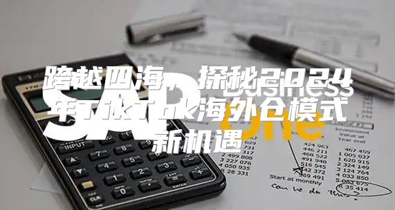 跨越四海，探秘2025年TikTok海外仓模式新机遇