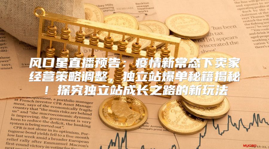 风口星直播预告：疫情新常态下卖家经营策略调整，独立站爆单秘籍揭秘！探究独立站成长之路的新玩法