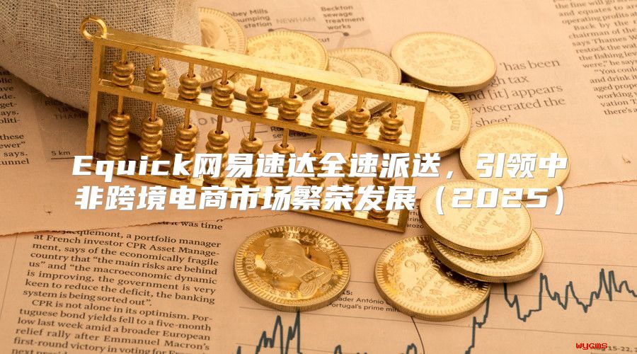 Equick网易速达全速派送，引领中非跨境电商市场繁荣发展2025