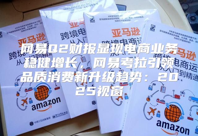 网易Q2财报显现电商业务稳健增长，网易考拉引领品质消费新升级趋势：2025视窗