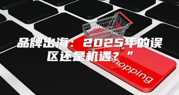 品牌出海：2025年的误区还是机遇？”