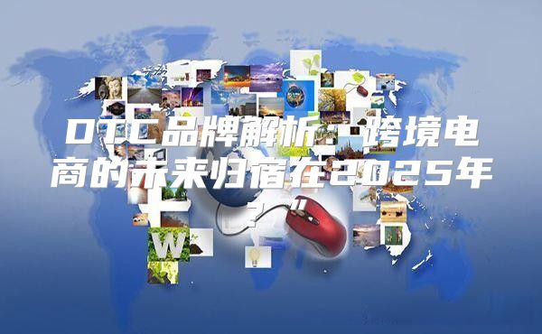 DTC品牌解析：跨境电商的未来归宿在2025年？”