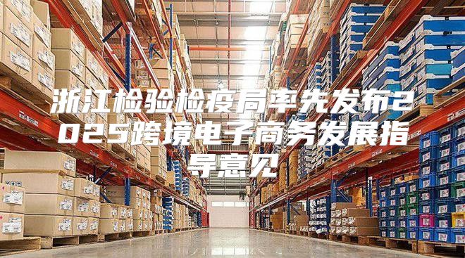 浙江检验检疫局率先发布2025跨境电子商务发展指导意见