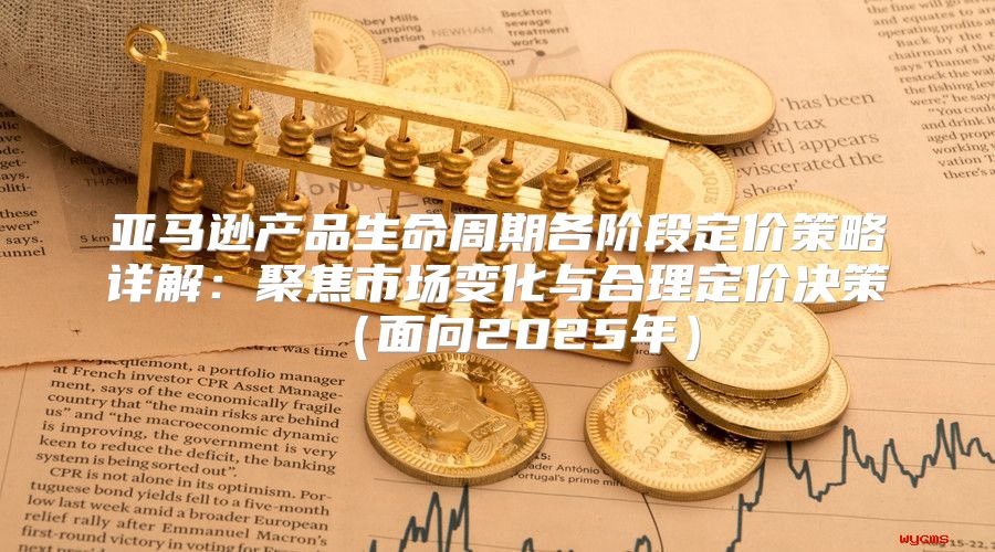 亚马逊产品生命周期各阶段定价策略详解：聚焦市场变化与合理定价决策面向2025年