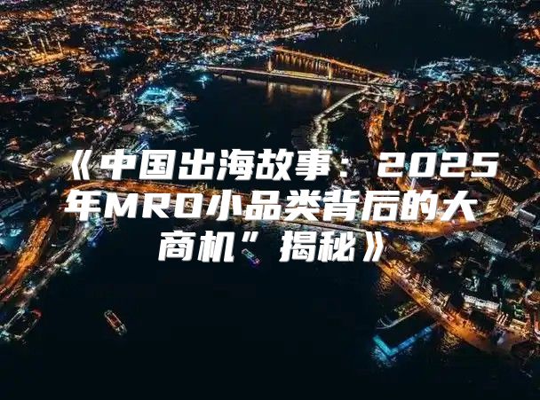 中国出海故事：2025年MRO小品类背后的大商机”揭秘