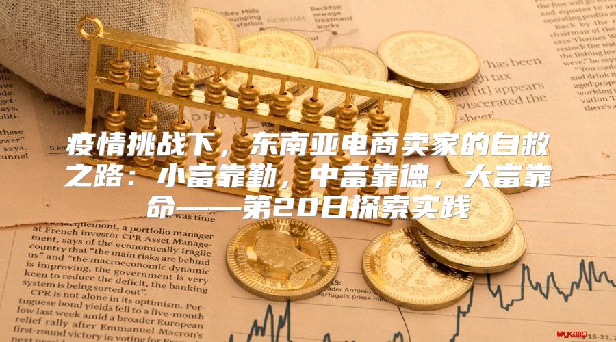 疫情挑战下，东南亚电商卖家的自救之路：小富靠勤，中富靠德，大富靠命——第20日探索实践
