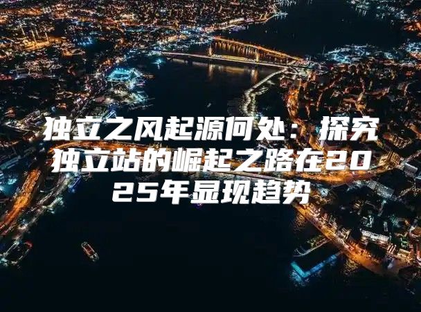 独立之风起源何处：探究独立站的崛起之路在2025年显现趋势