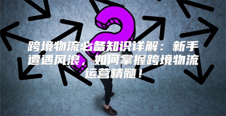 跨境物流必备知识详解：新手遭遇风浪，如何掌握跨境物流运营精髓！