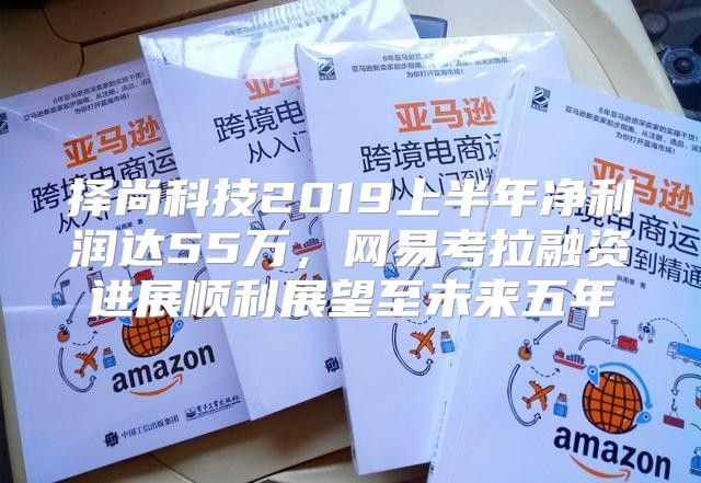 择尚科技2019上半年净利润达55万，网易考拉融资进展顺利展望至未来五年