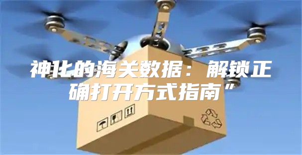 神化的海关数据：解锁正确打开方式指南”