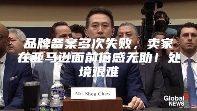 品牌备案多次失败，卖家在亚马逊面前倍感无助！处境艰难