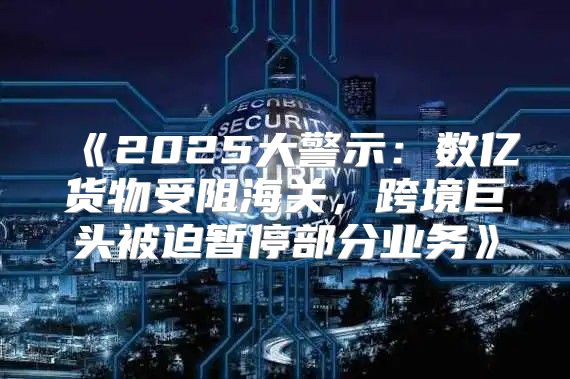 2025大警示：数亿货物受阻海关，跨境巨头被迫暂停部分业务