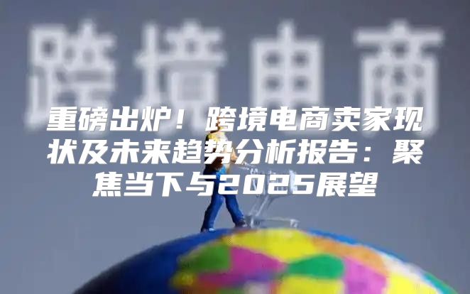 重磅出炉！跨境电商卖家现状及未来趋势分析报告：聚焦当下与2025展望