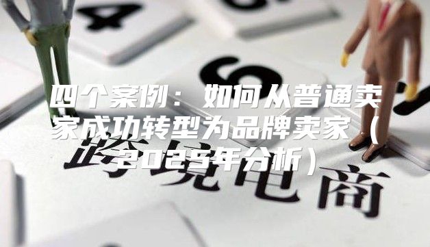 四个案例：如何从普通卖家成功转型为品牌卖家2025年分析