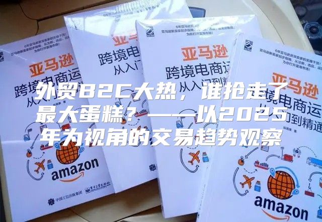 外贸B2C大热，谁抢走了最大蛋糕？——以2025年为视角的交易趋势观察